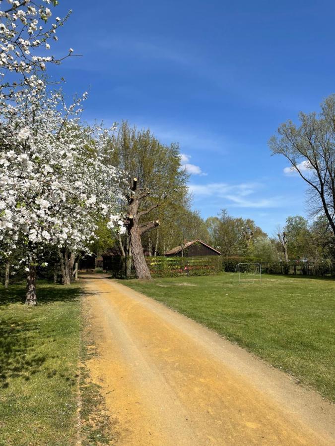 Bungalowdorf